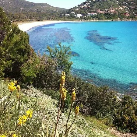 Gilda 托雷德尔斯泰尔