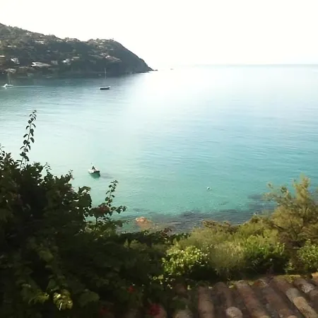 Gilda 托雷德尔斯泰尔