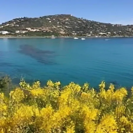 Gilda * 托雷德尔斯泰尔