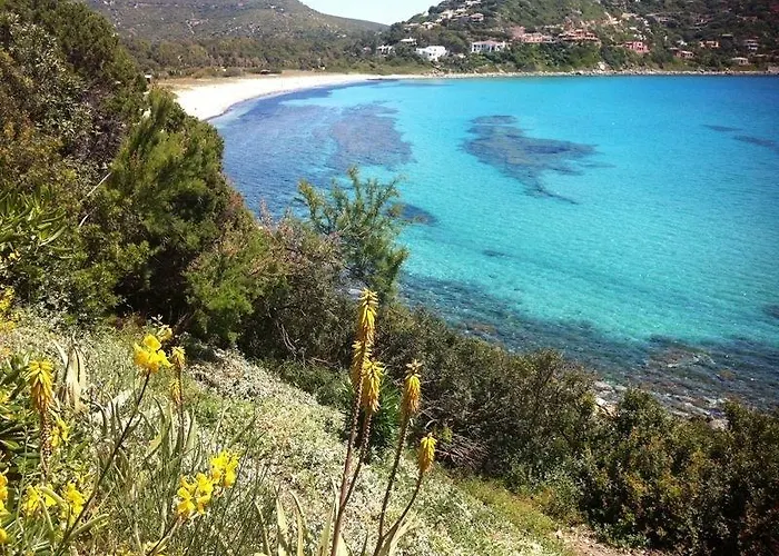 Gilda Torre delle Stelle