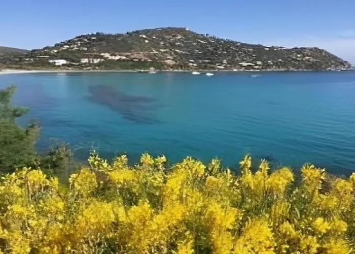 Gilda * Torre delle Stelle